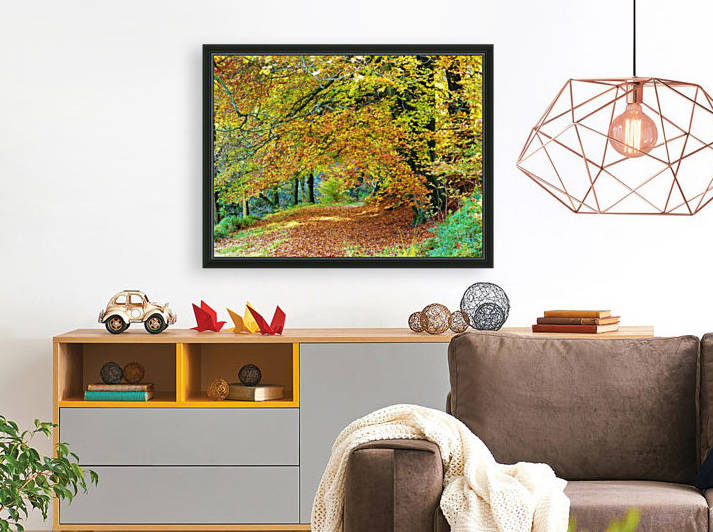 Autumnal path by Andy Jamieson