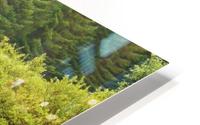 Caught in the open HD Metal print