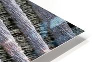 Weir steps HD Metal print