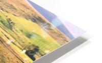 Evening drive HD Metal print