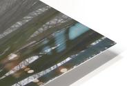 Misty avenue HD Metal print
