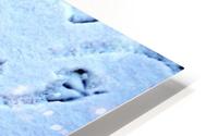 Whos following HD Metal print