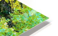 Autumnal stream HD Metal print