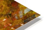 Autumnal river reflection HD Metal print