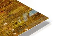 Duck HD Metal print