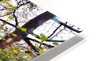 Riverside colour HD Metal print