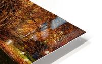 Autumn seat HD Metal print