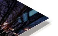 Winter curtains HD Metal print