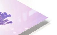 Pink tint HD Metal print