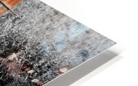 Calmly rusting HD Metal print