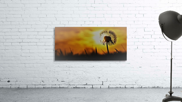 Dandelion Wall Preview