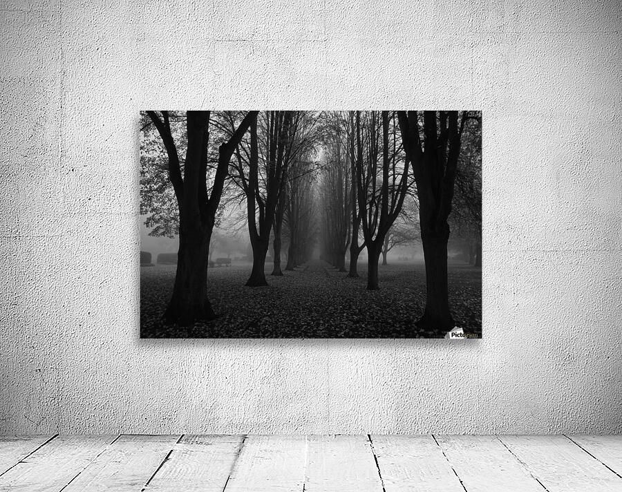 Dark path Wall Preview