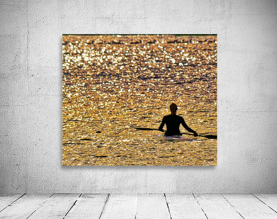 Paddle paused Wall Preview