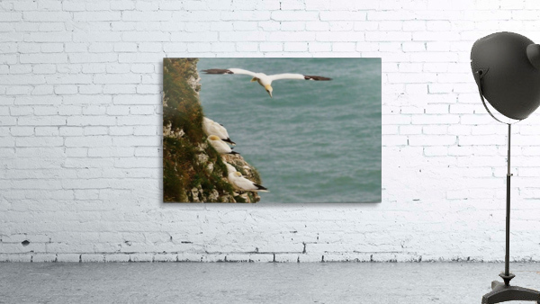 Just passing by Wall Preview
