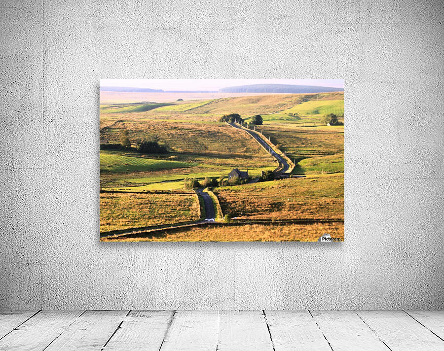 Evening drive Wall Preview