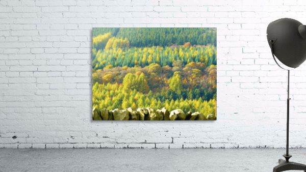 Greens Wall Preview