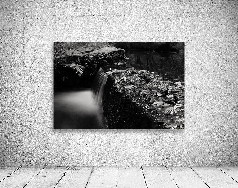 Still...ish Wall Preview