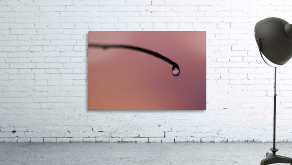 Lone drop Wall Preview