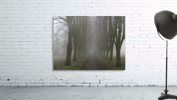 Misty avenue Wall Preview