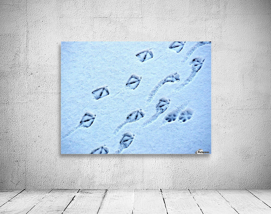 Whos following Wall Preview