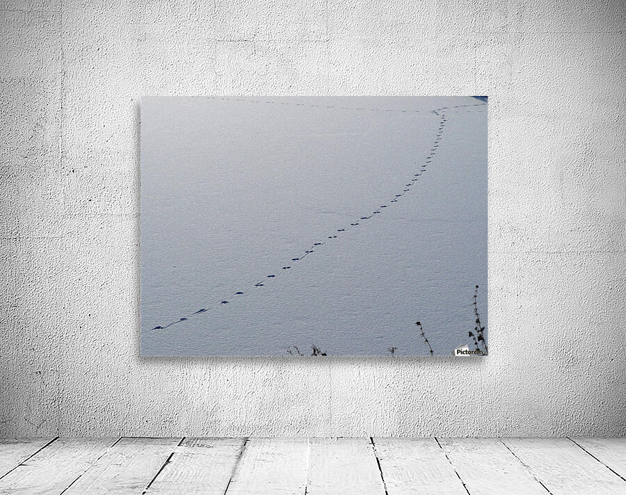 Tracks Wall Preview