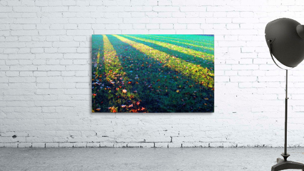 Autumnal lines Wall Preview