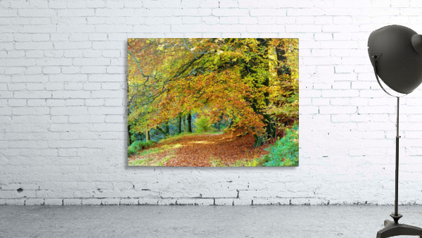 Autumnal path Wall Preview