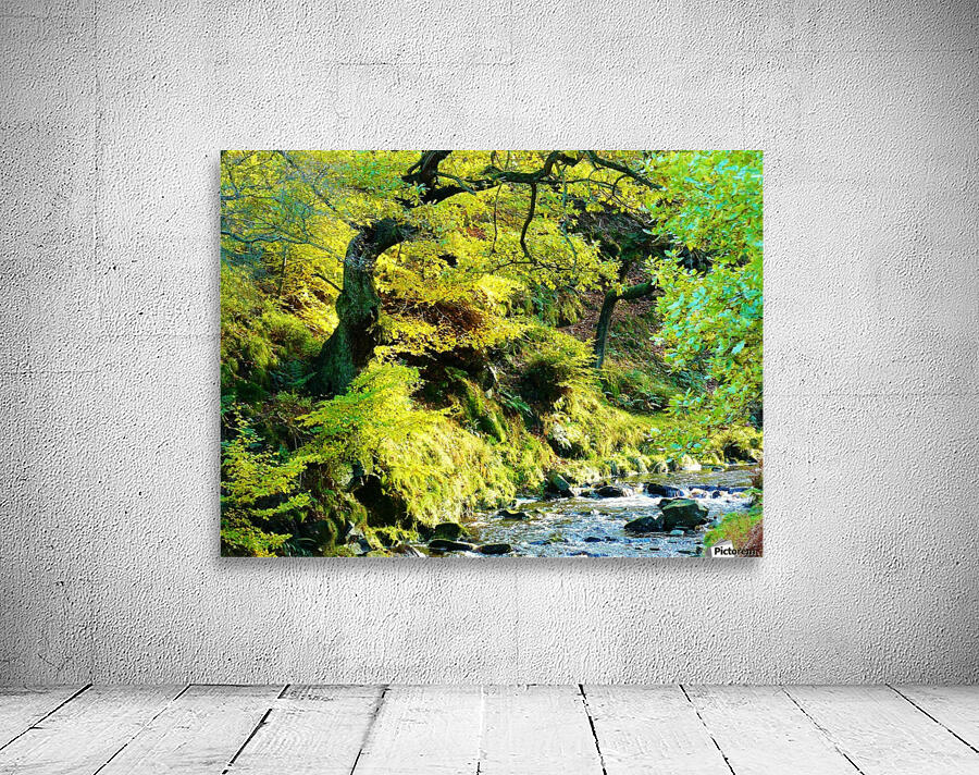 Autumnal stream Wall Preview
