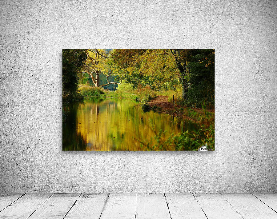Autumn canal Wall Preview