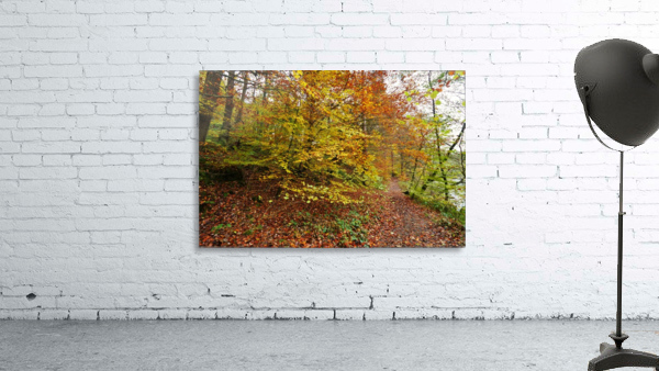 Autumn river walk Wall Preview