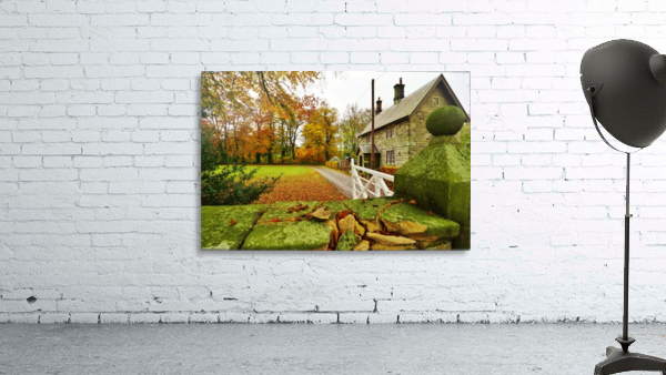 Autumn house Wall Preview