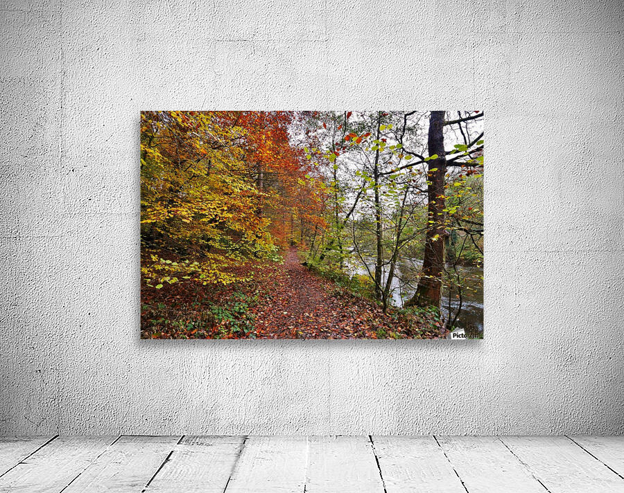 Riverside colour Wall Preview