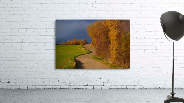 Autumn road Wall Preview
