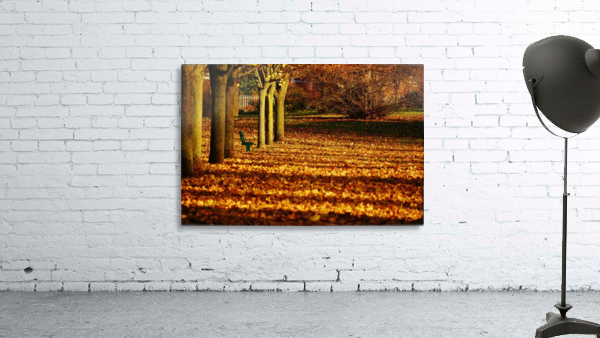 Autumn seat Wall Preview