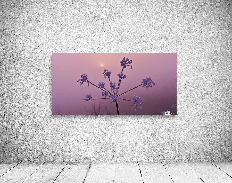 Weak weed sun Wall Preview