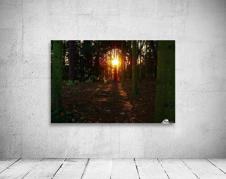 Last tree light Wall Preview