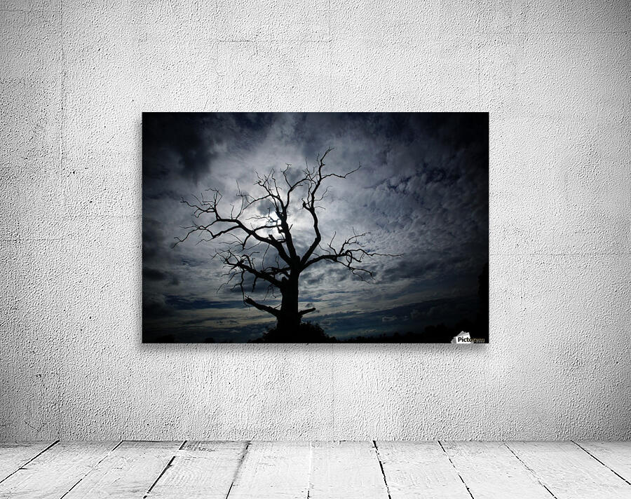 Scary tree Wall Preview