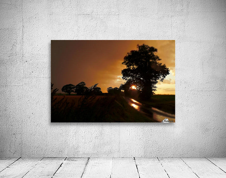 Wet sunset Wall Preview