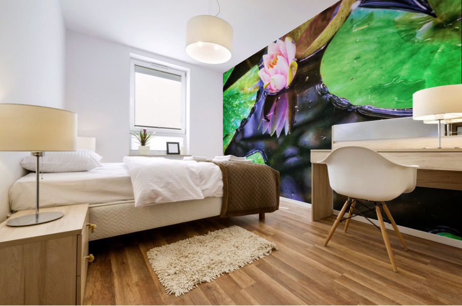 Pink water lily floating Mural print