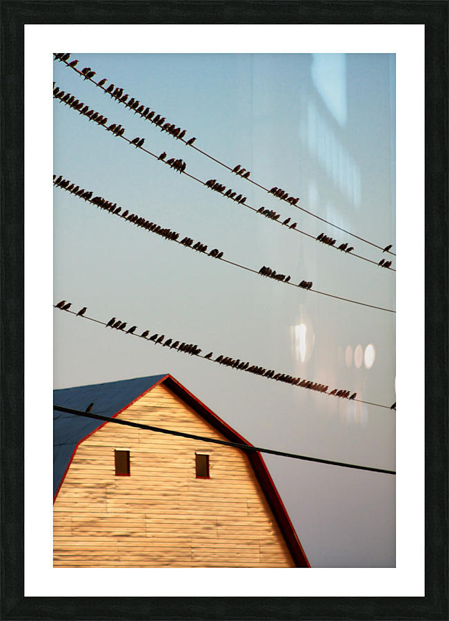 Bed time rural Quebec Picture Frame print