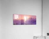 Hoar frost Sunrise Acrylic Print