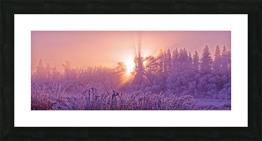 Hoar frost Sunrise Picture Frame print