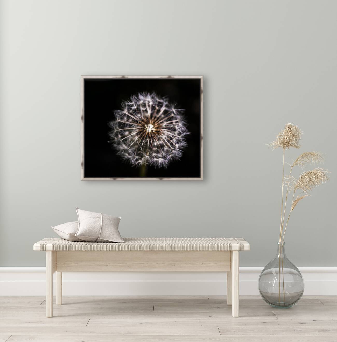 Dandelion Seed Reproduction