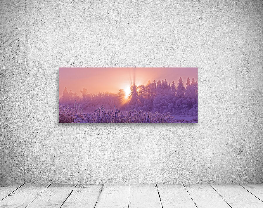 Hoar frost Sunrise Wall Preview