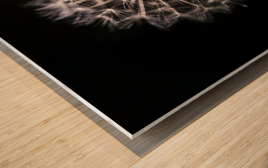 Dandelion Seed Impression sur bois