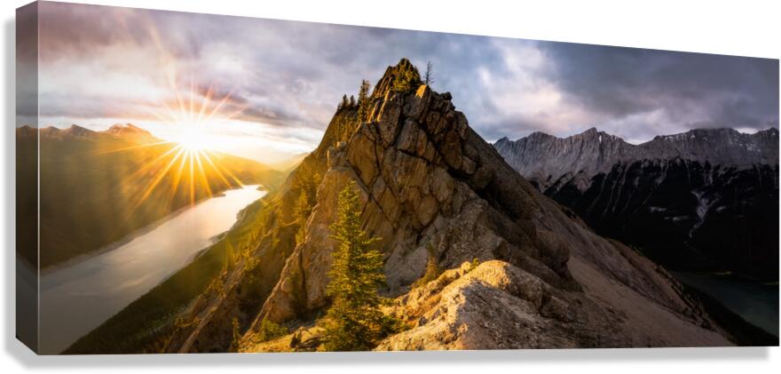 Medicine Slab Canvas Print