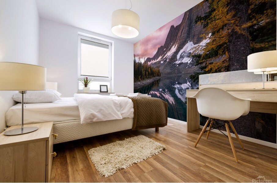 Floe Lake Mural print