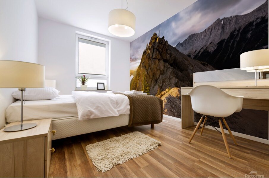 Medicine Slab Mural print