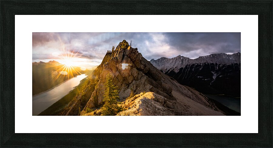 Medicine Slab Picture Frame print