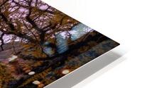 Floe Lake HD Metal print